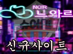 NOIR 신규 사설사이트 각종 먹튀가 이뤄지는 범죄 집단인지 조사 진행 중