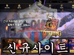 VIKING 신규 사설사이트 회원의 돈을 무자비하게 먹튀하는지 조사 진행 중