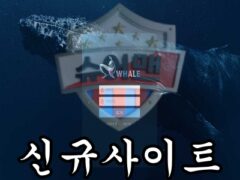 WHALE 신규 사설사이트 고래 회원들만 골라 사냥하고 있는지 조사 진행 중