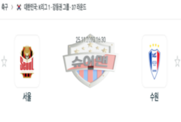 2023년 11월 25일 16:30 K리그 1부 FC 서울 vs 수원삼성블루윙즈 스포츠 분석