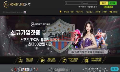 머니라인