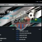 튠업