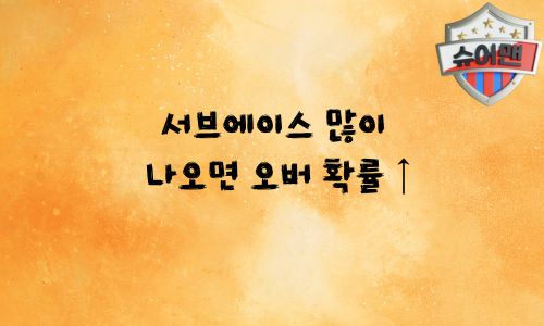 배구 분석