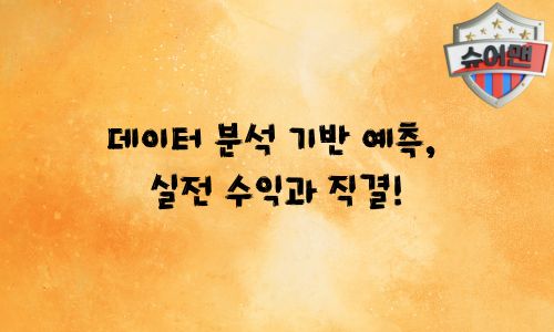배구 분석