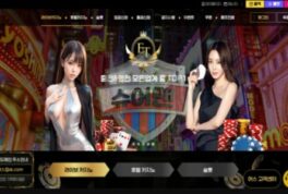 어스 카지노 먹튀 피해 사례 공개: 577만원 피해, 사설 토토사이트 주의보