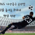 가상 축구