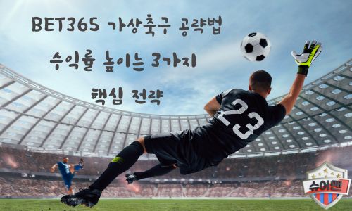가상 축구
