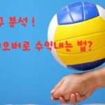 배구 분석