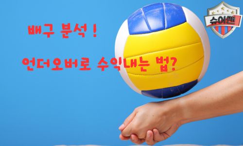 배구 분석