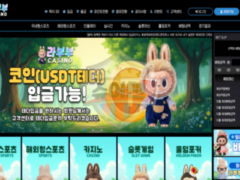 신규 토토사이트 라부부벳 신뢰도 평가 보고 안내