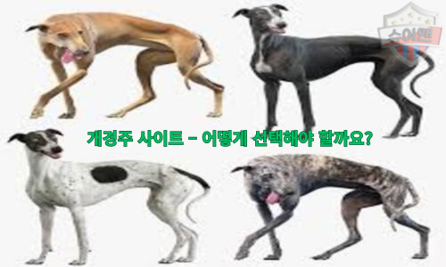 개경주